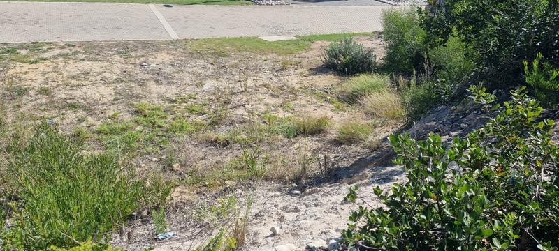 0 Bedroom Property for Sale in Groot Brakrivier Central Western Cape